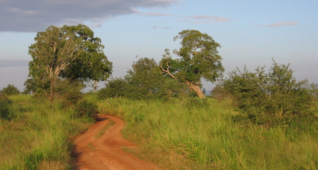 zambia_track_wiki