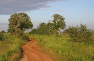 zambia_track_wiki