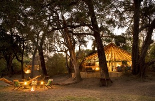 Crocodile Camp by lamplight