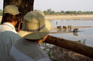 Elephant_Hide_Kaingo_Camp_Wetu (1)