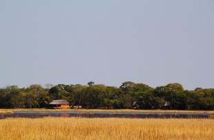 Kasanka Wasa Lodge 4